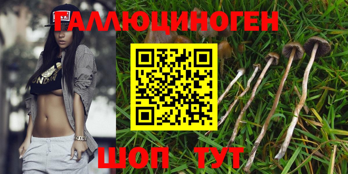 дарнет шоп  Вход с VPN  Псилоцибиновые грибы MAGIC MUSHROOMS  Сафоново  Галлюциногенные грибы прущие грибы 