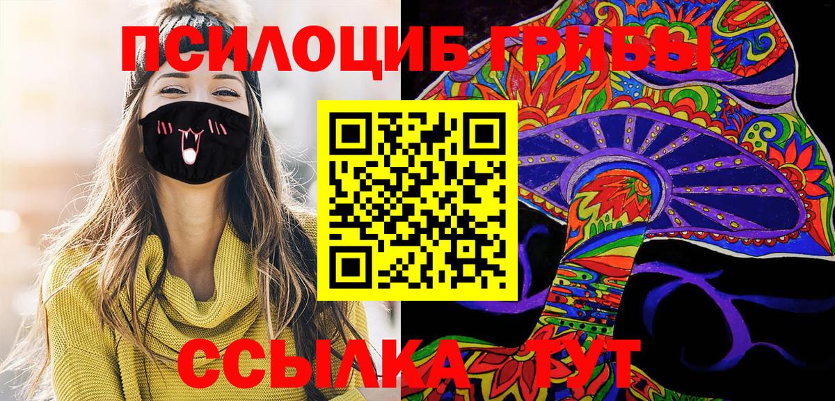 Псилоцибиновые грибы Psilocybe Сафоново